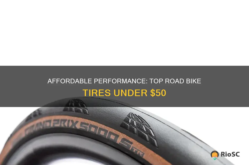 best road bike tires under 50