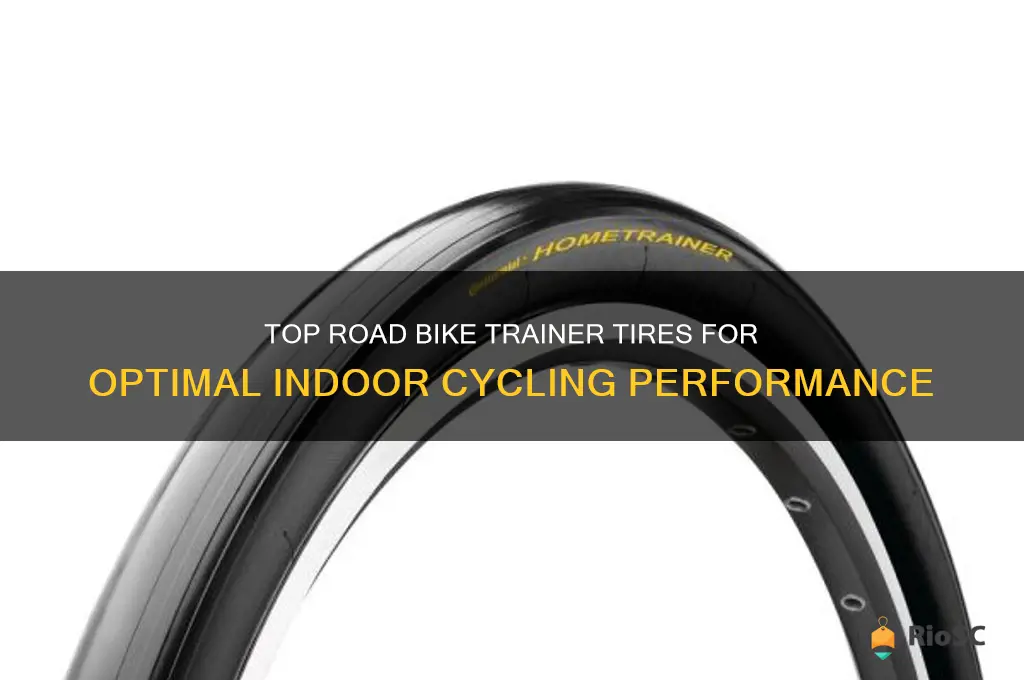 best road bike trainer tires