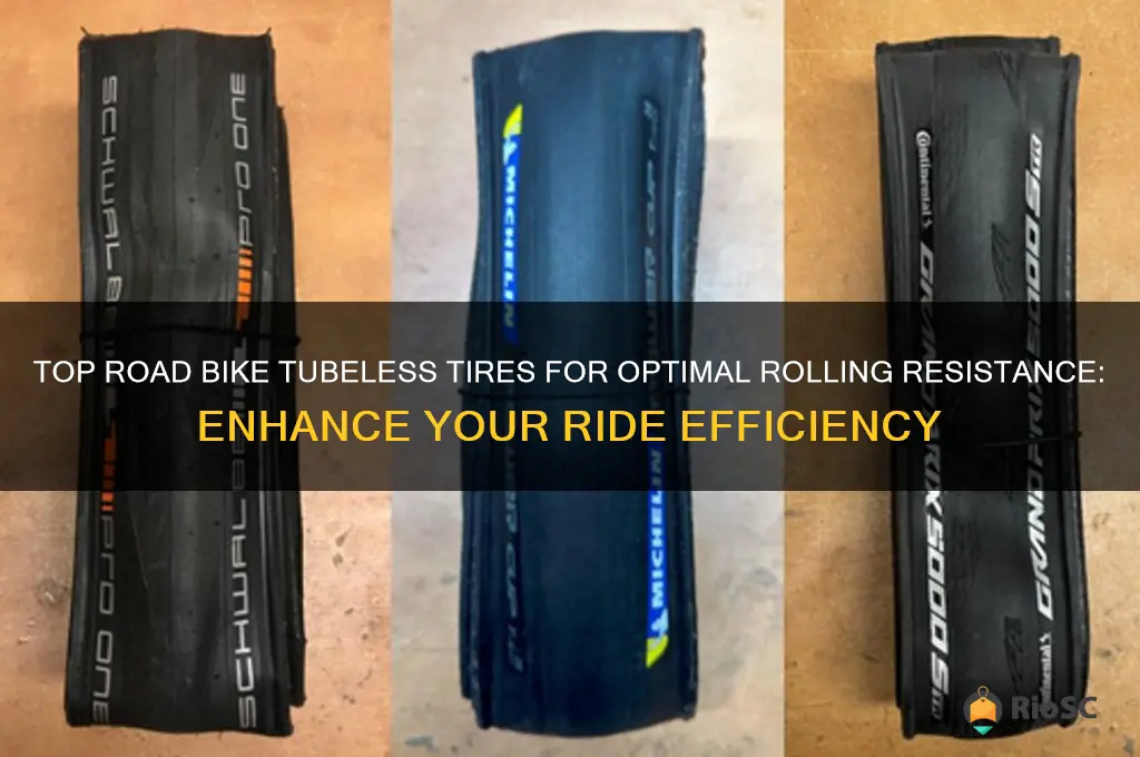 best road bike tubeless tires rolling resis