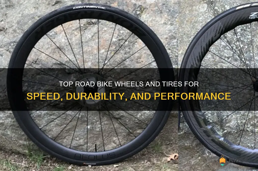 best road bike wheels and tires