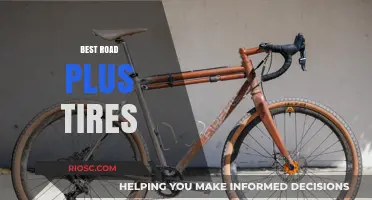 Top Road Plus Tires for Smooth and Versatile Cycling Performance