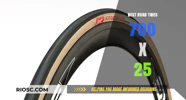 Top-Rated 700 x 25 Road Tires for Smooth and Efficient Cycling Performance