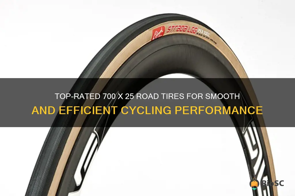 best road tires 700 x 25