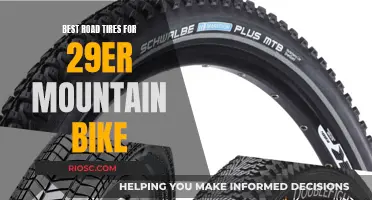 Road-Ready Rollers: Choosing the Best Tires for Your 29er Mountain Bike