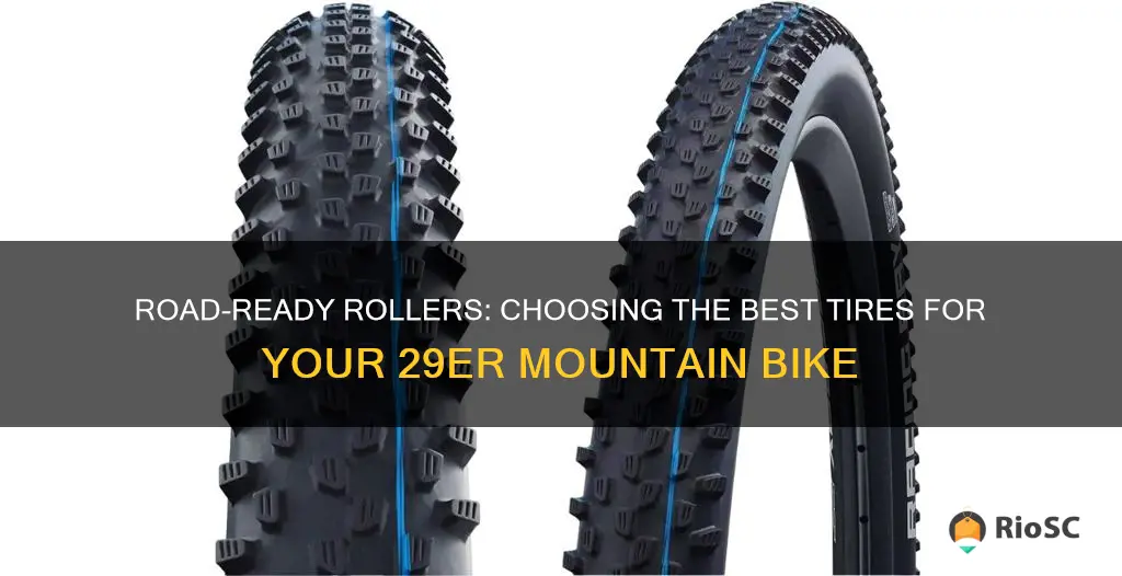 best road tires for 29er mountain bike
