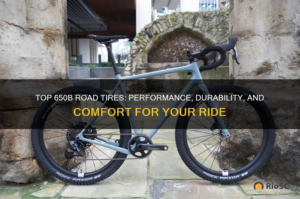 best road tires for a 650b