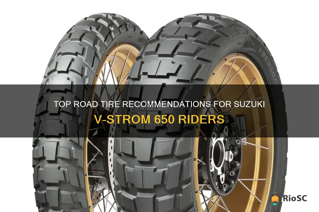 best road tires for a suzuki 650 v storm