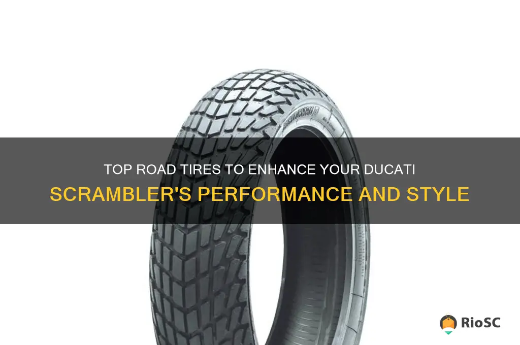 best road tires for ducati scrambler