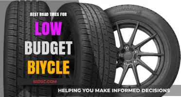 Affordable Excellence: Top Low-Budget Road Tires for Your Bicycle