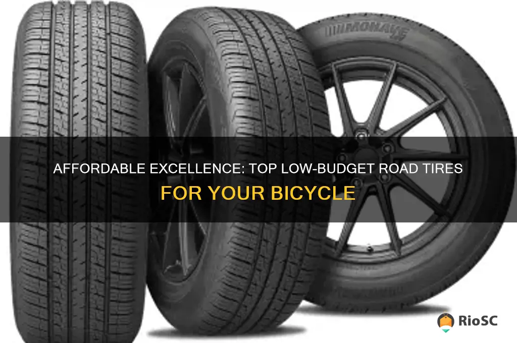 best road tires for low budget biycle
