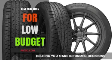 Affordable Excellence: Top Low-Budget Road Tires for Smooth and Safe Rides