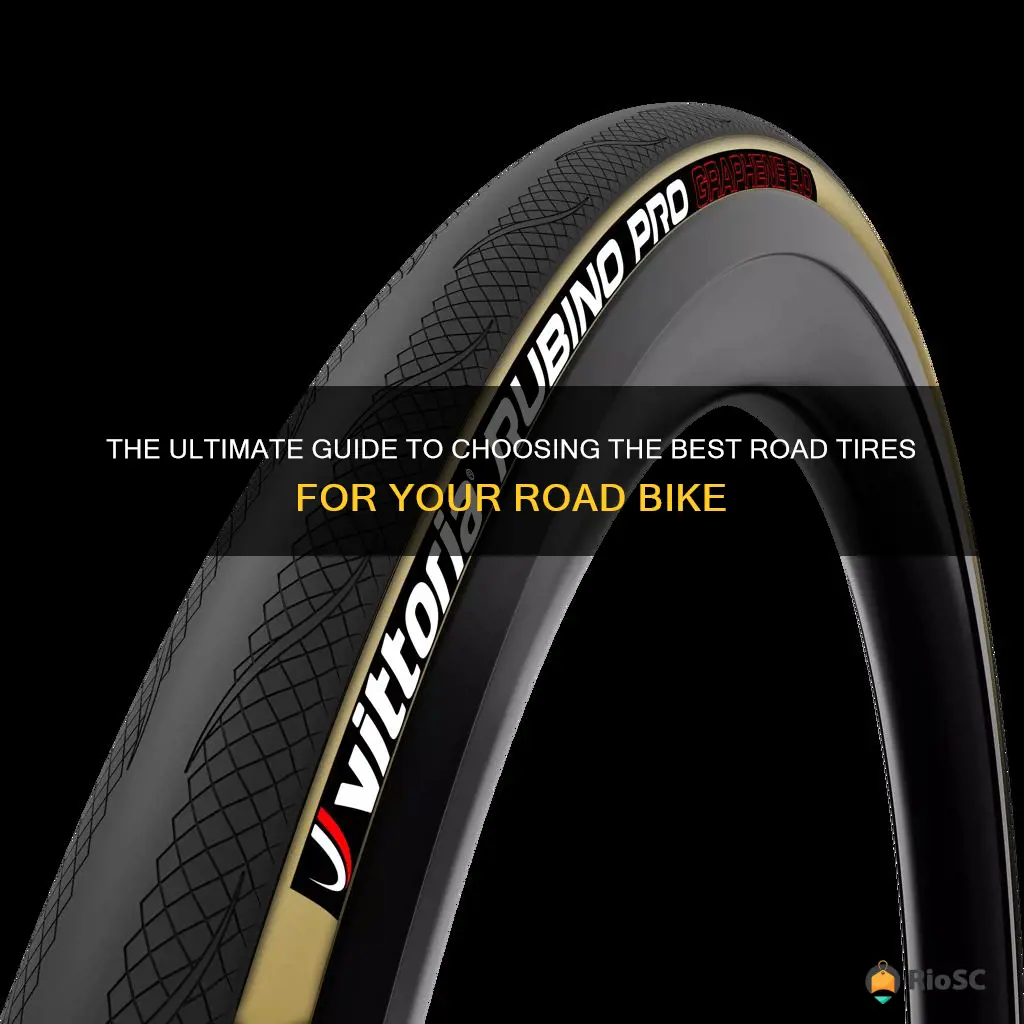 best road tires for road bikes