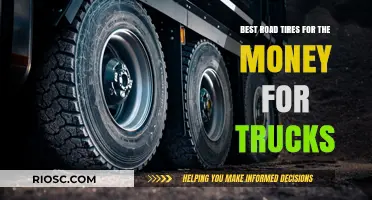 Top-Value Truck Tires: Best Road Performance for Your Money