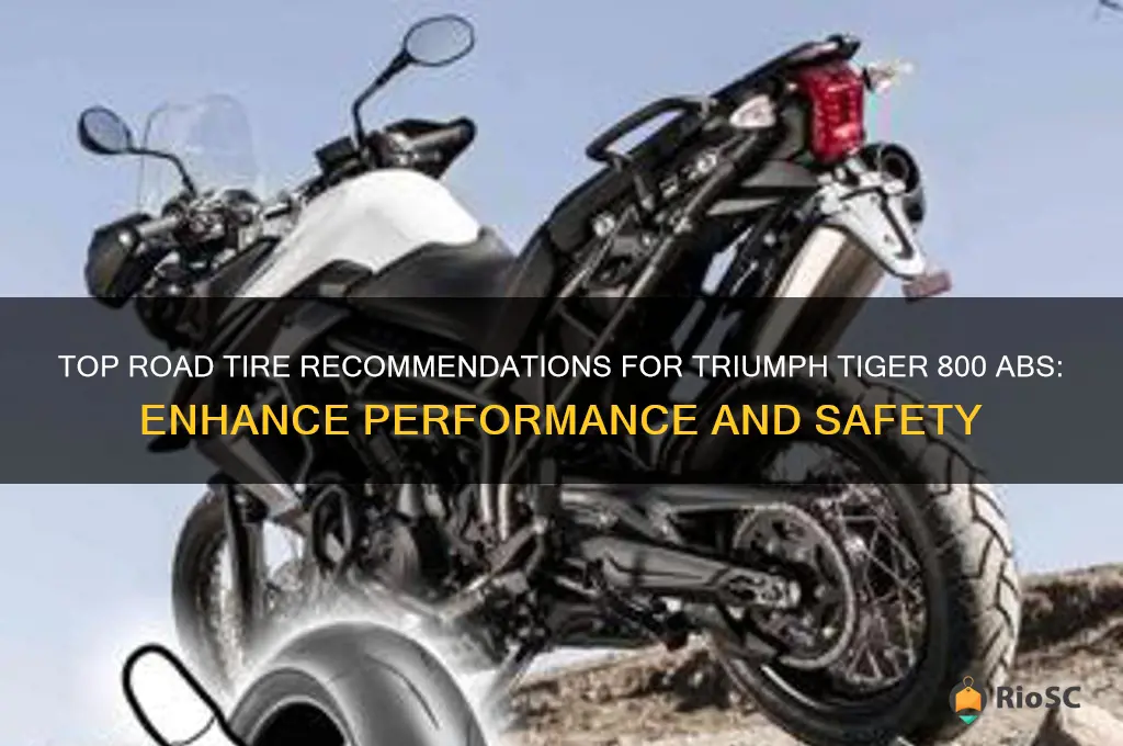 best road tires for triumph tiger 800 abs