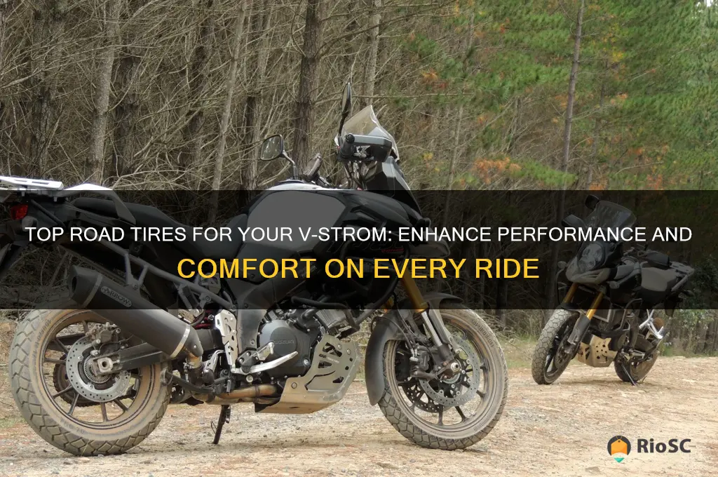 best road tires for v strom