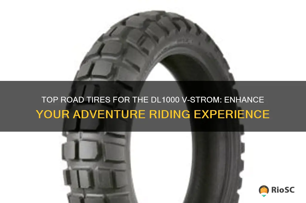 best road tires ofr dl1000 vstrom