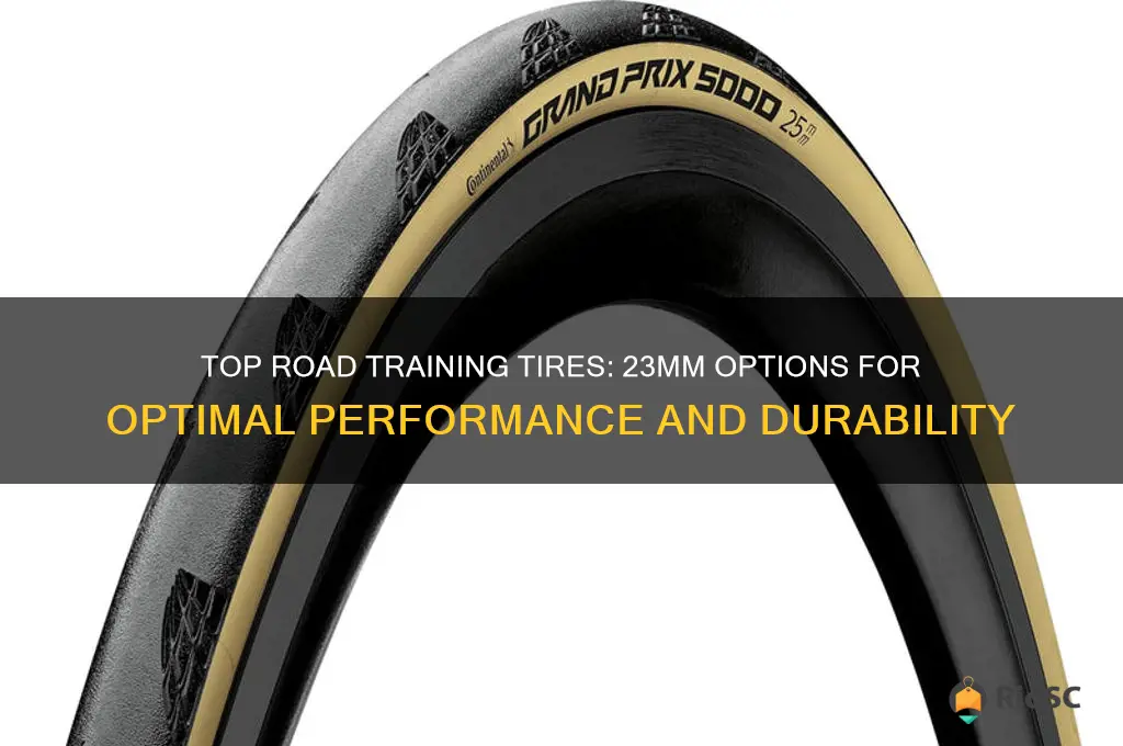 best road training tires 23mm