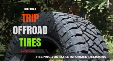 Ultimate Guide to the Best Off-Road Tires for Your Next Adventure