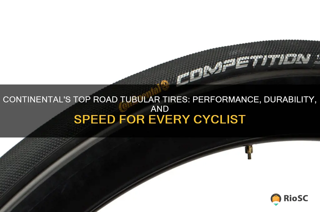 best road tubular tires continental
