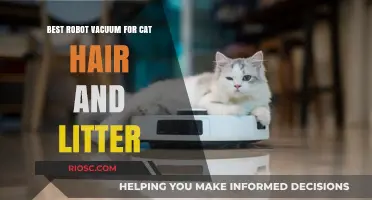 Top Robot Vacuum Picks for Tackling Cat Hair and Litter Messes