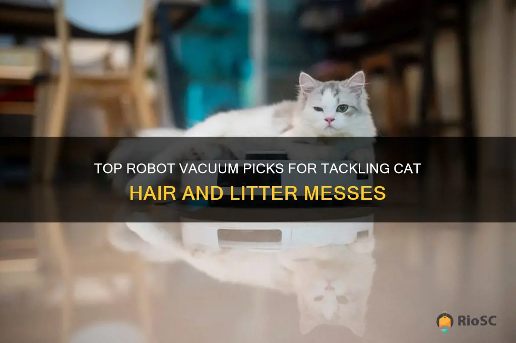 best robot vacuum for cat hair and litter