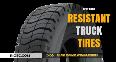 Top Rock-Resistant Truck Tires for Extreme Terrain: Durability Meets Performance