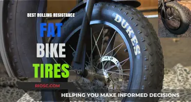 Top Fat Bike Tires for Minimal Rolling Resistance: Enhance Your Ride Efficiency