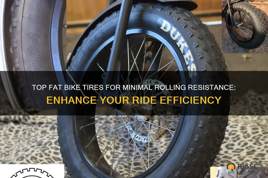 best rolling resistance fat bike tires