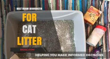 Freshen Up Your Space: Top Room Deodorizers for Cat Litter Odor Control