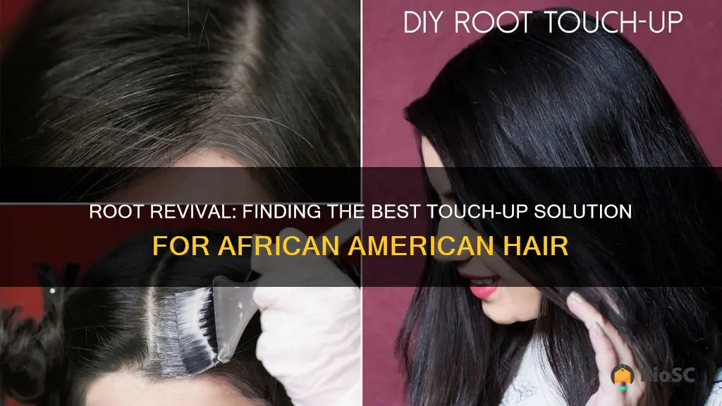 best root touch up for african american hair