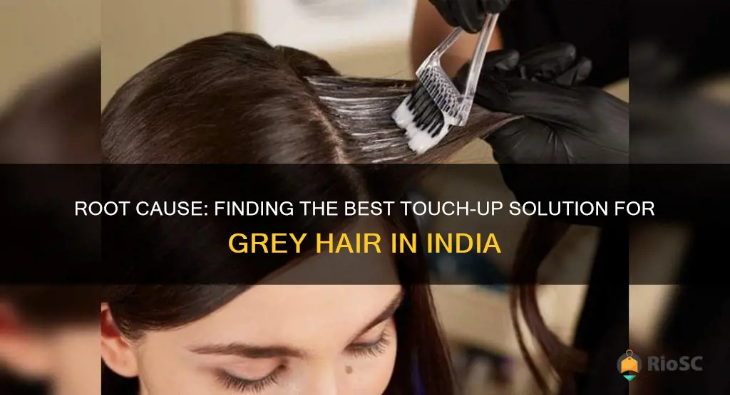 best root touch up for grey hair india