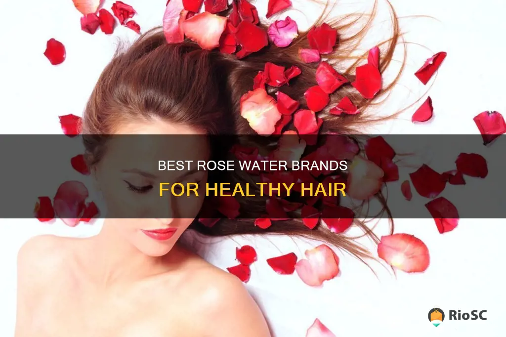 best rose water brand for hair