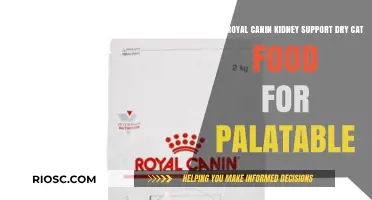 Top Picks for Palatable Royal Canin Kidney Support Dry Cat Food