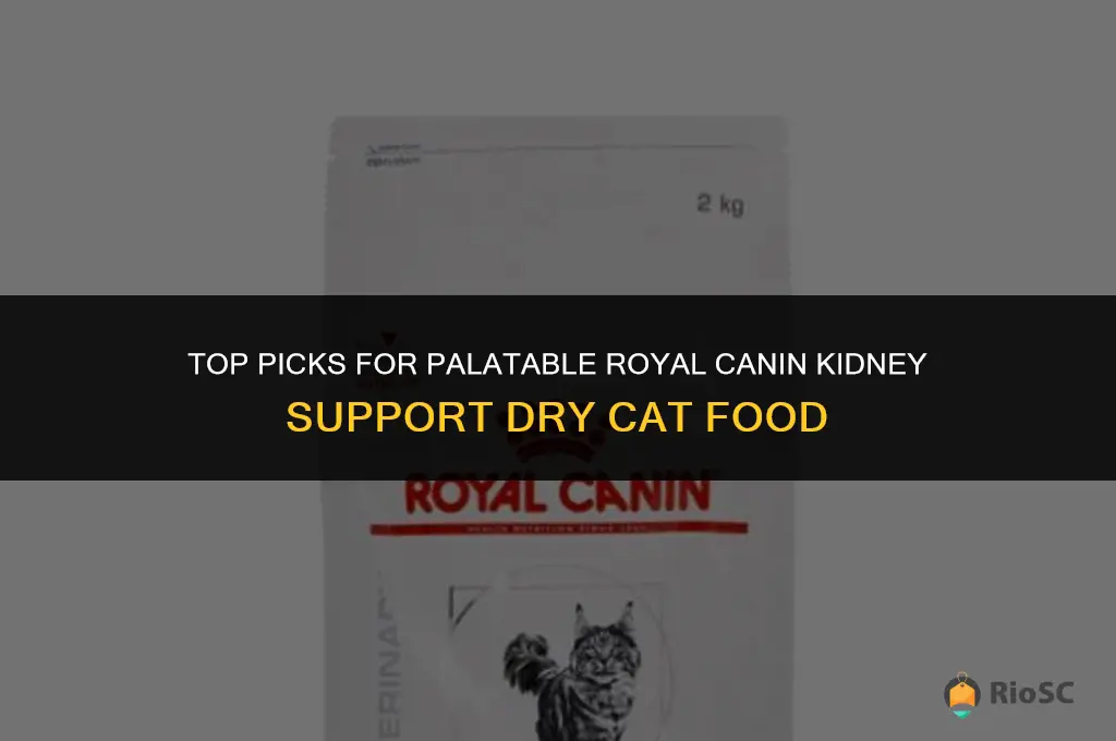 best royal canin kidney support dry cat food for palatable
