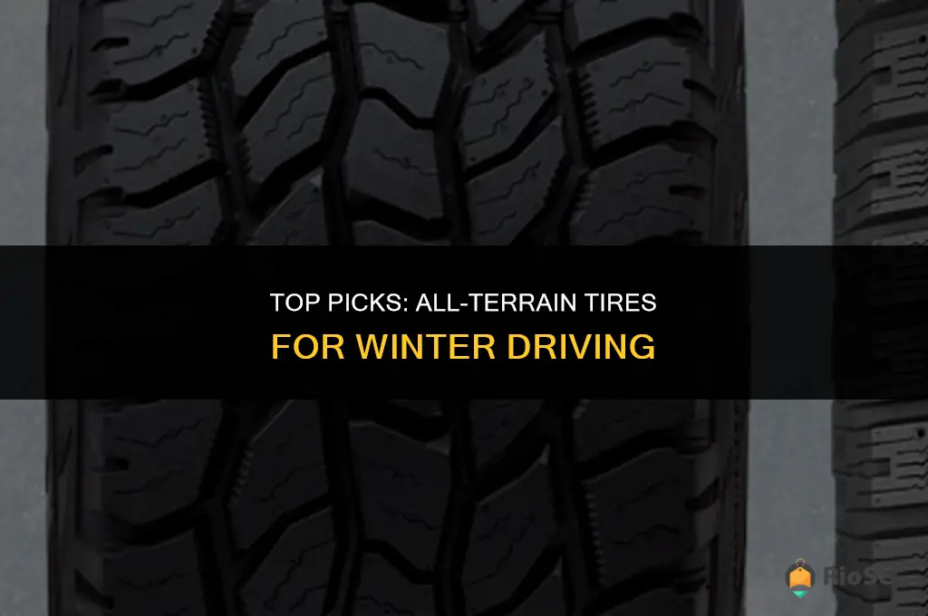 best rt tires for snow