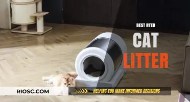 Top-Rated Cat Litter Options for a Fresh and Clean Home