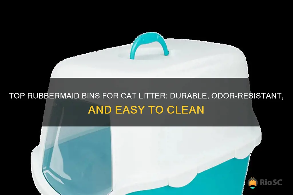 best rubbermaid bins for cat litter