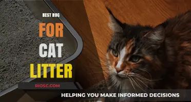 Top Picks: Best Rugs for Cat Litter to Keep Your Home Clean and Scratch-Free