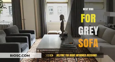 Perfect Pairing: Top Rug Styles to Complement Your Grey Sofa