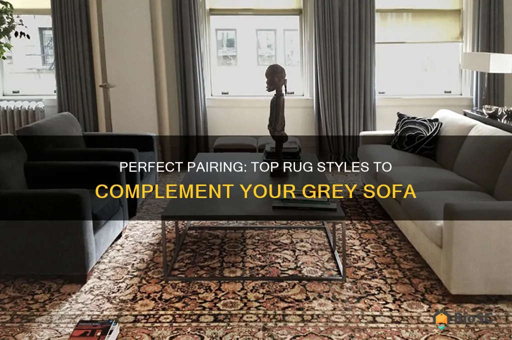 best rug for grey sofa