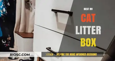 Top RV Cat Litter Box Solutions for Stress-Free Travel with Your Feline Companion