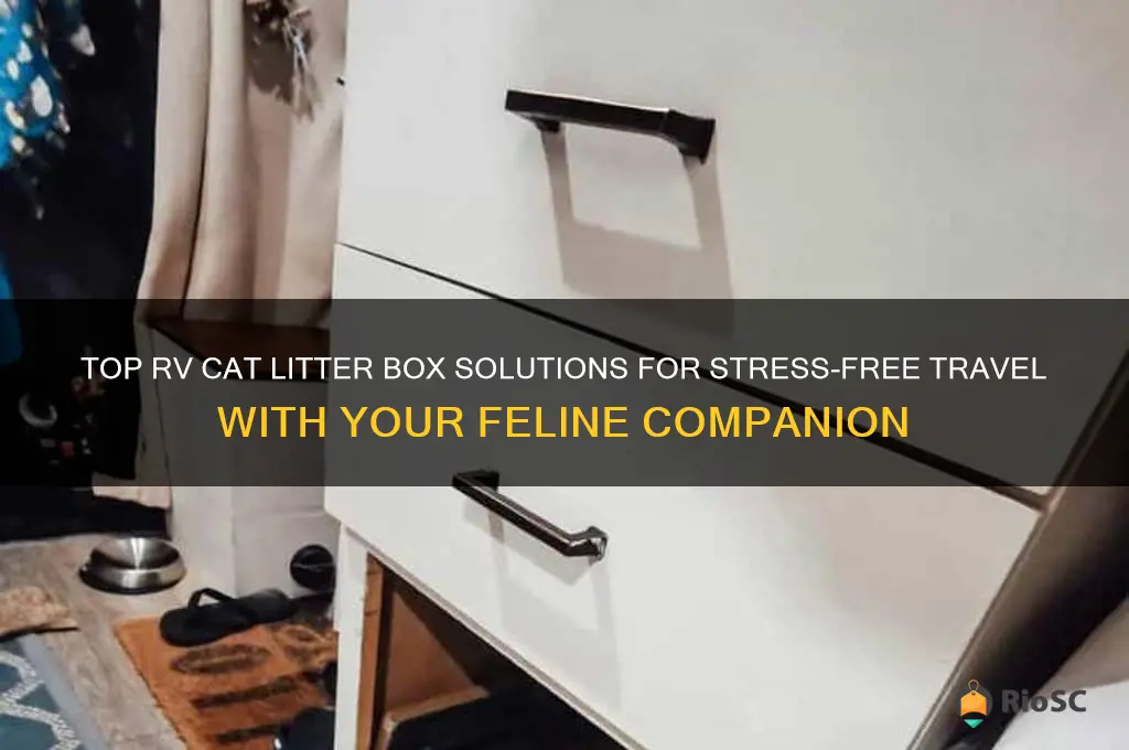best rv cat litter box
