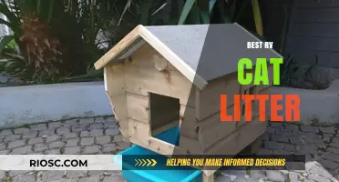 Top RV Cat Litter Options for Mess-Free Travel with Your Feline Companion