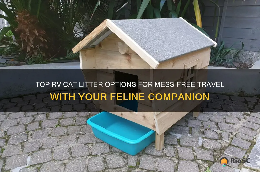 best rv cat litter