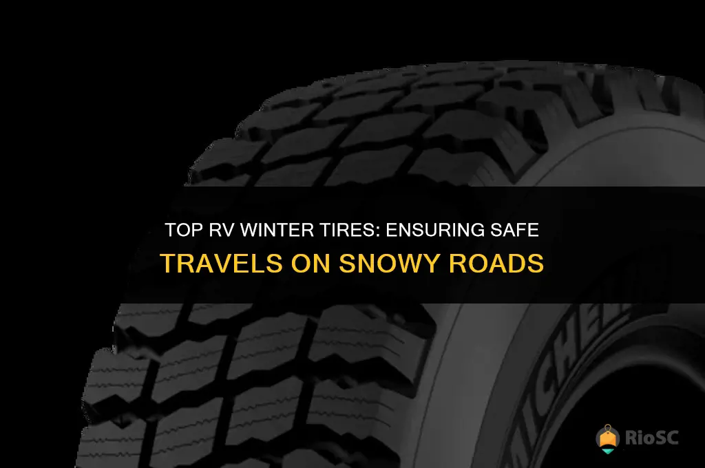 best rv winter tires