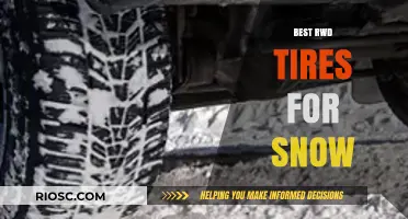 Top All-Season Tires for Snowy Conditions: A Comprehensive Guide to RWD Performance