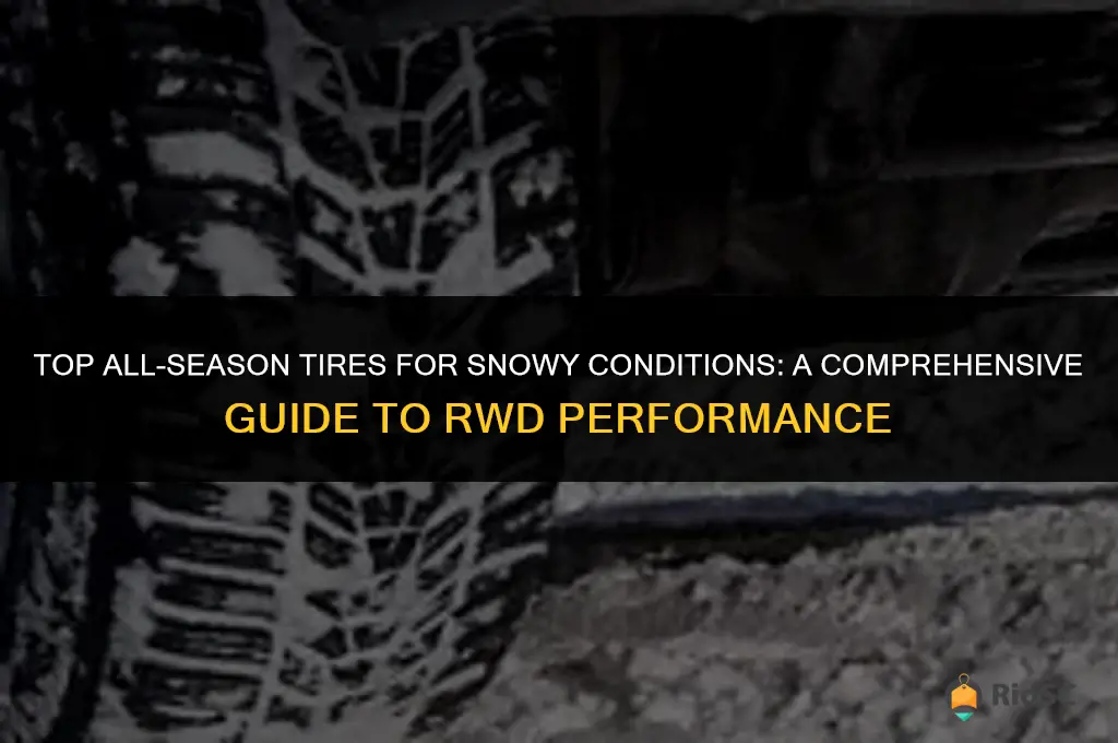 best rwd tires for snow