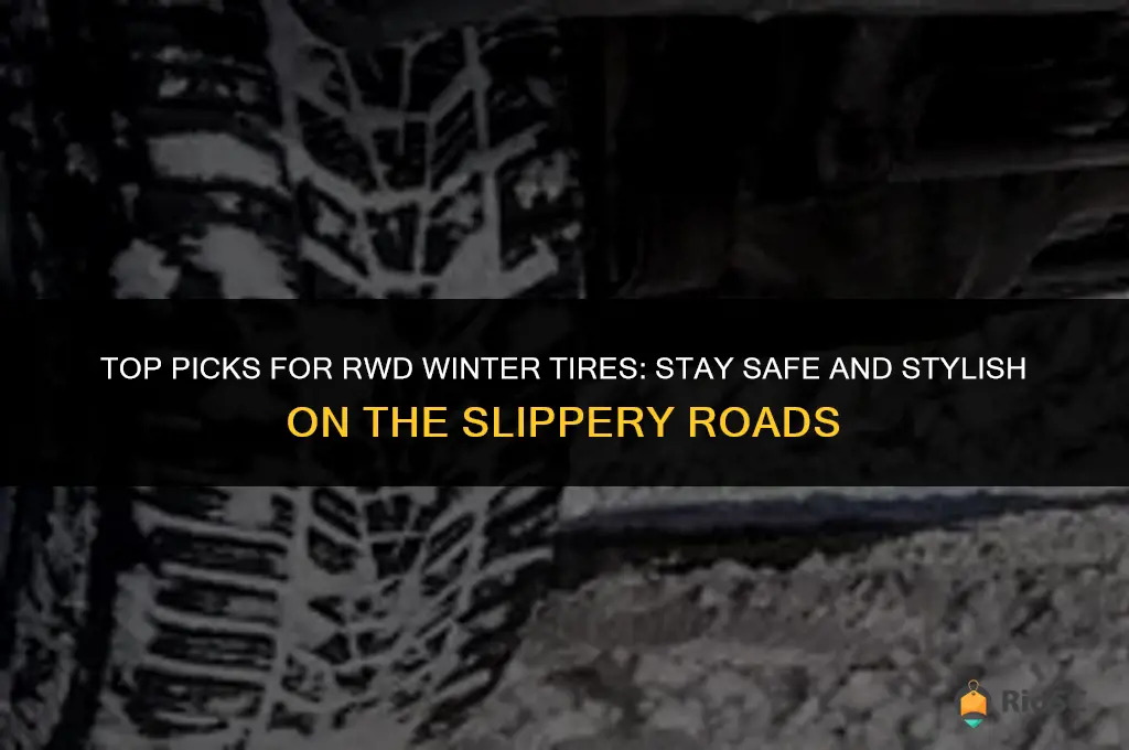 best rwd winter tires