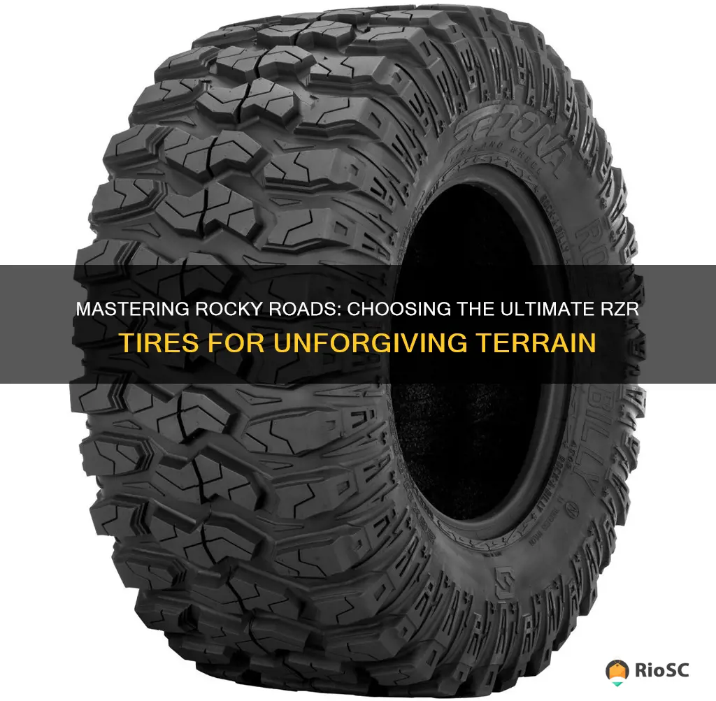 best rzr tires for rocky terrain