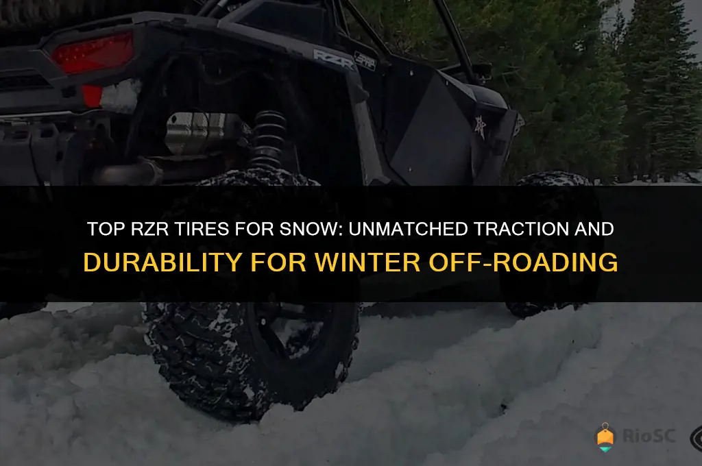 best rzr tires for snow